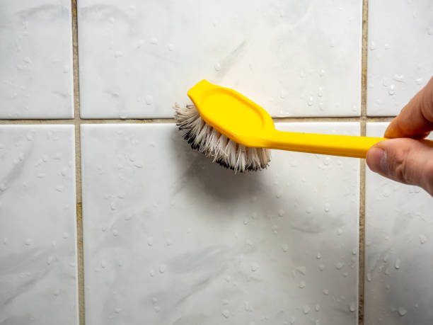 Best Mold Testing  in Meriden, CT