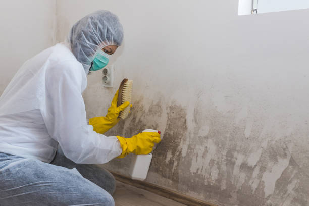 Water Damage Restoration in Meriden, CT
