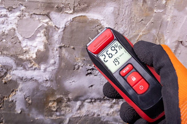 Meriden, CT Mold Removal Company